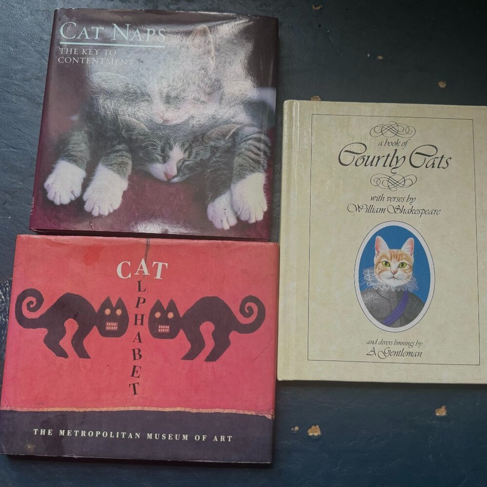 Set of 3 Mini Coffee Table Books for Cat Lovers